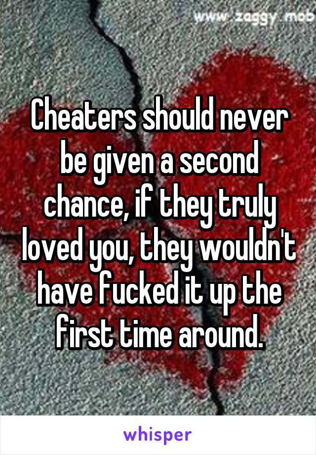 Cheaters should never be given a second chance, if they truly loved you, they wouldn't have fucked it up the first time around.