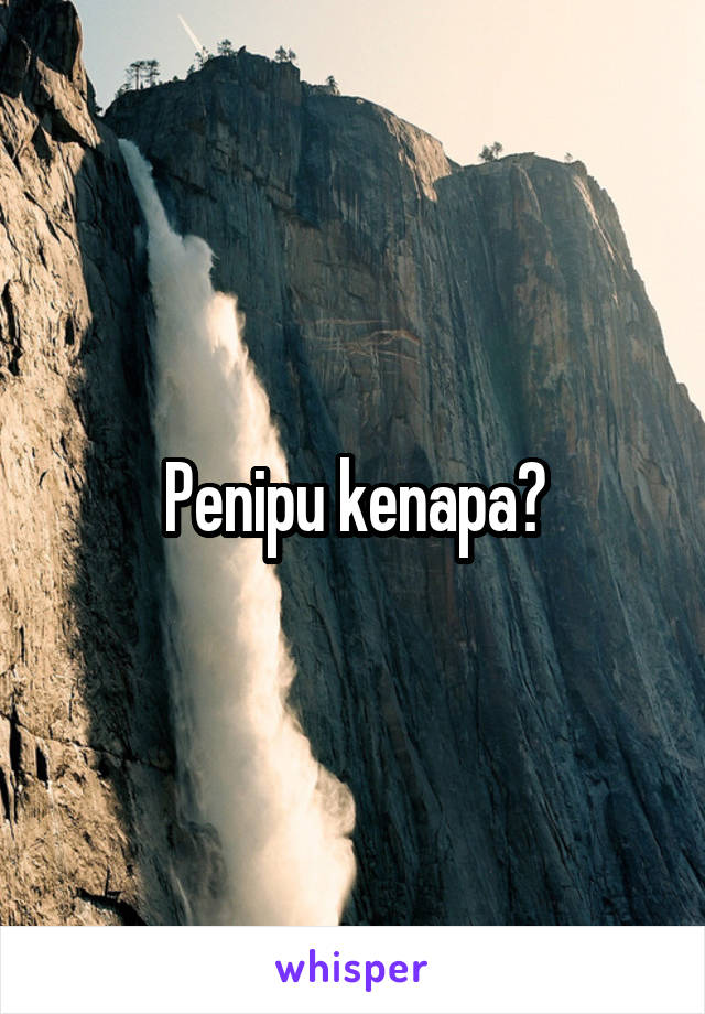 Penipu kenapa?