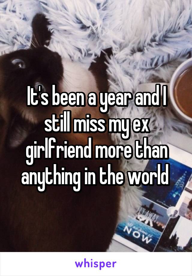 It's been a year and I still miss my ex girlfriend more than anything in the world 