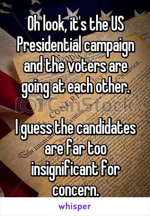 Oh look, it's the US Presidential campaign and the voters are going at each other.

I guess the candidates are far too insignificant for concern.