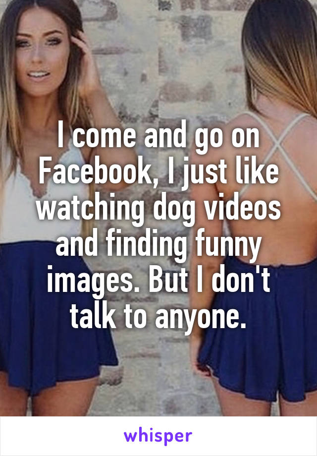 I come and go on Facebook, I just like watching dog videos and finding funny images. But I don't talk to anyone.