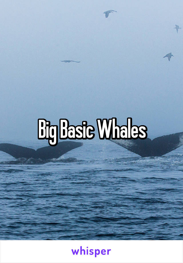 Big Basic Whales