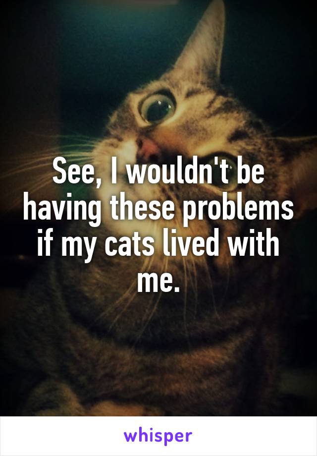 See, I wouldn't be having these problems if my cats lived with me.