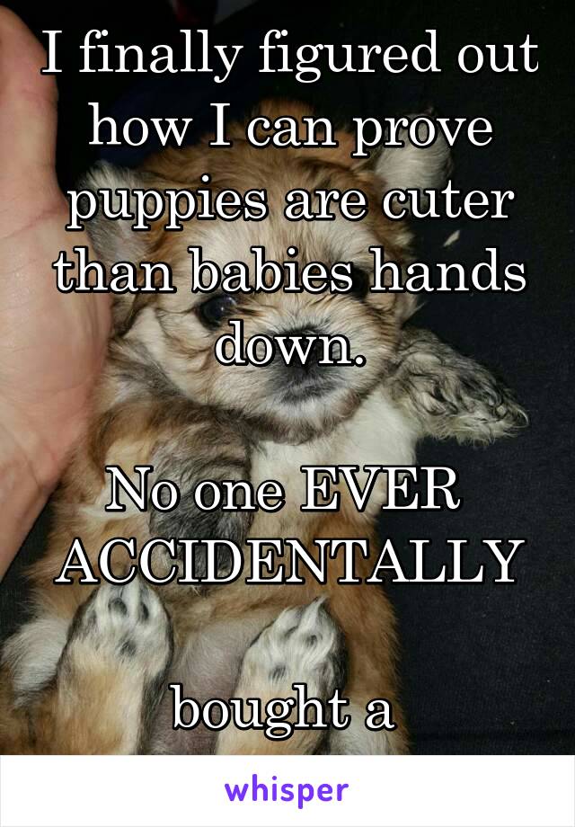 I finally figured out how I can prove puppies are cuter than babies hands down.

No one EVER 
ACCIDENTALLY 
bought a 
Puppy.