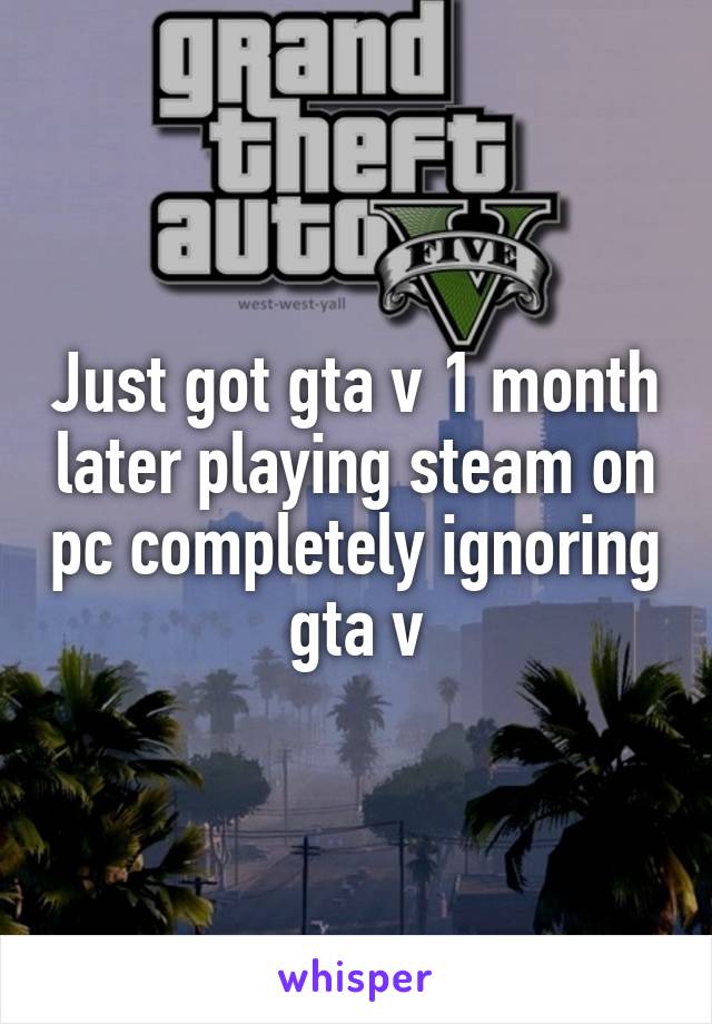 Just got gta v 1 month later playing steam on pc completely ignoring gta v