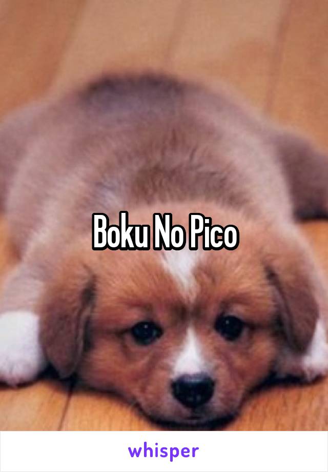 Boku No Pico