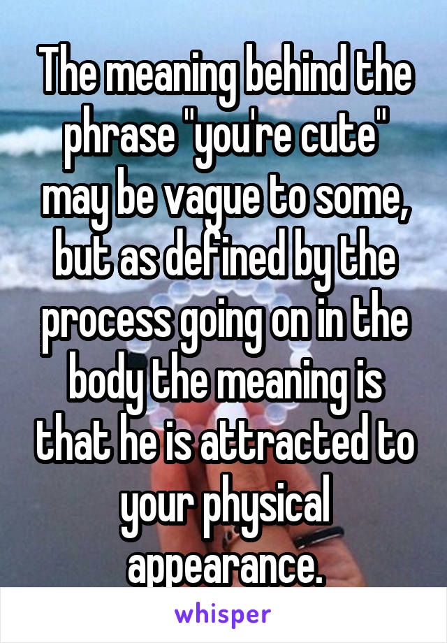 The meaning behind the phrase "you're cute" may be vague to some, but as defined by the process going on in the body the meaning is that he is attracted to your physical appearance.