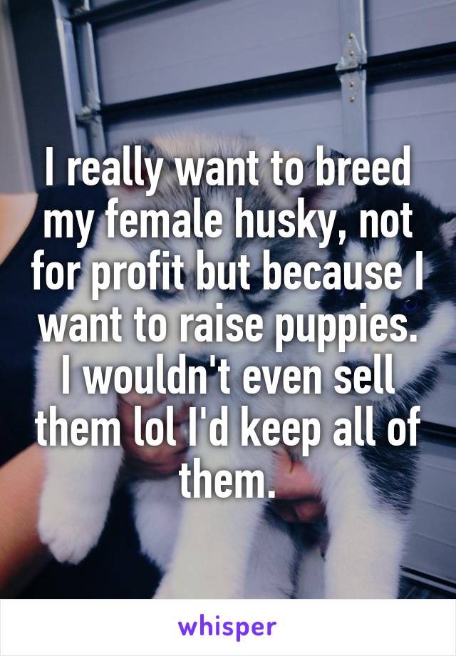 I really want to breed my female husky, not for profit but because I want to raise puppies. I wouldn't even sell them lol I'd keep all of them.