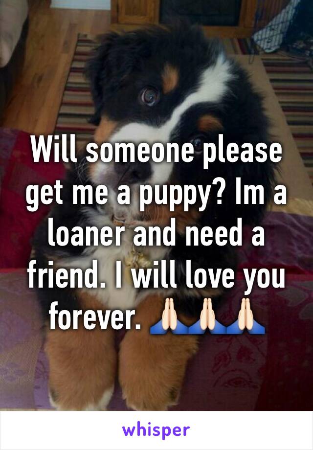 Will someone please get me a puppy? Im a loaner and need a friend. I will love you forever. 🙏🏻🙏🏻🙏🏻