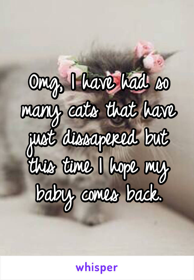 Omg, I have had so many cats that have just dissapered but this time I hope my baby comes back.