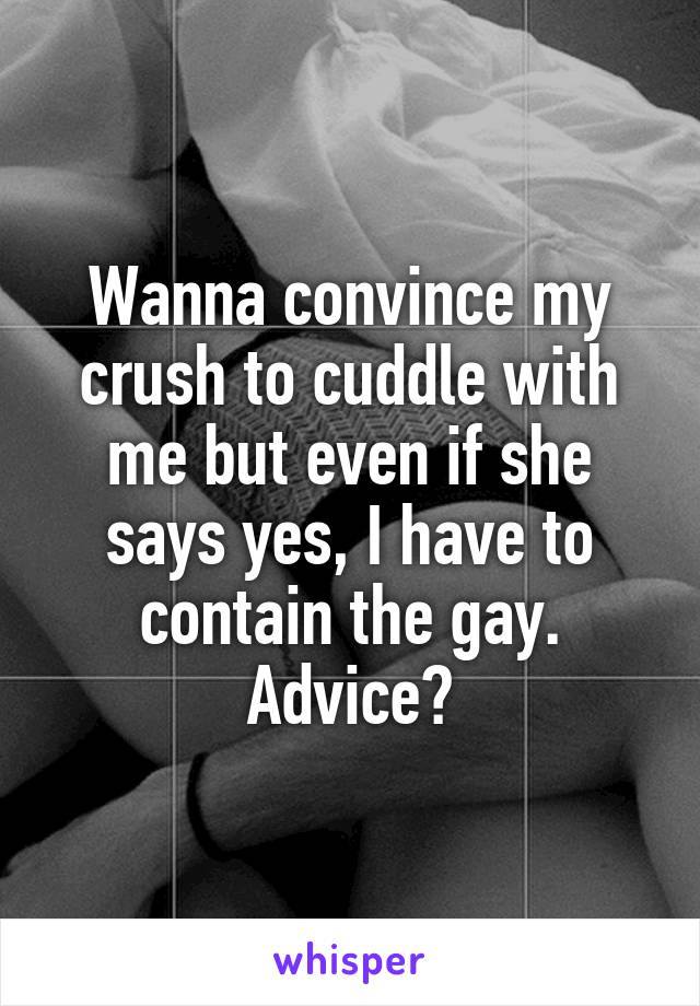 Wanna convince my crush to cuddle with me but even if she says yes, I have to contain the gay. Advice?