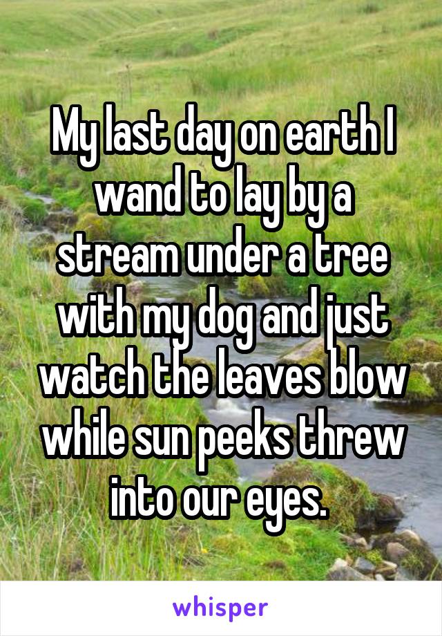 My last day on earth I wand to lay by a stream under a tree with my dog and just watch the leaves blow while sun peeks threw into our eyes. 