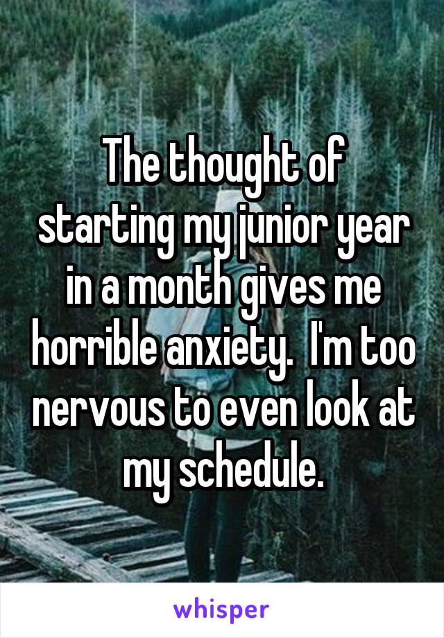 The thought of starting my junior year in a month gives me horrible anxiety.  I'm too nervous to even look at my schedule.