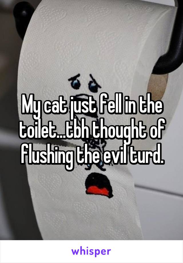 My cat just fell in the toilet...tbh thought of flushing the evil turd.