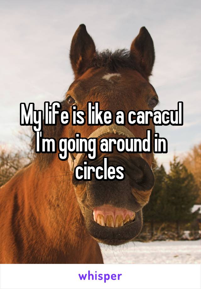 My life is like a caracul I'm going around in circles 