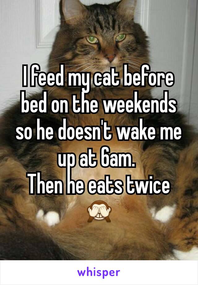 I feed my cat before bed on the weekends so he doesn't wake me up at 6am. 
Then he eats twice 🙈