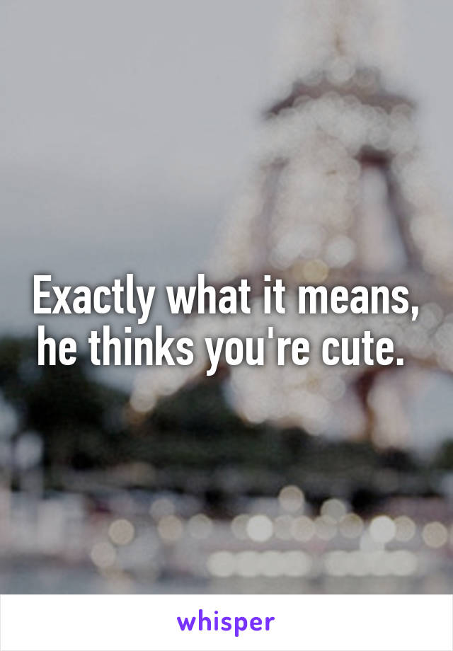 Exactly what it means, he thinks you're cute. 