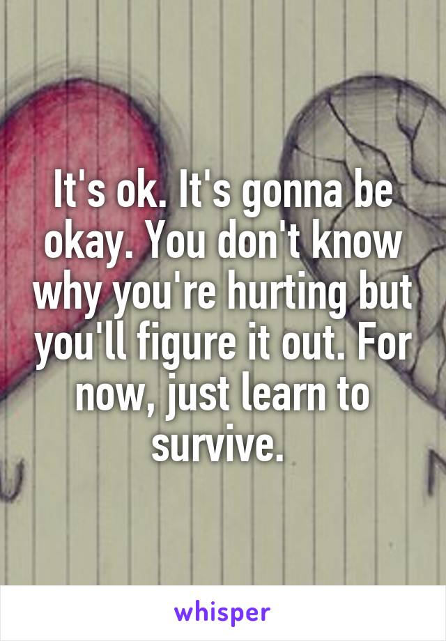 It's ok. It's gonna be okay. You don't know why you're hurting but you'll figure it out. For now, just learn to survive. 