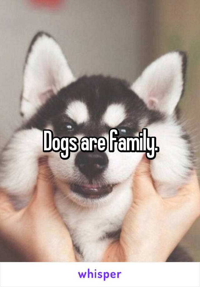 Dogs are family.