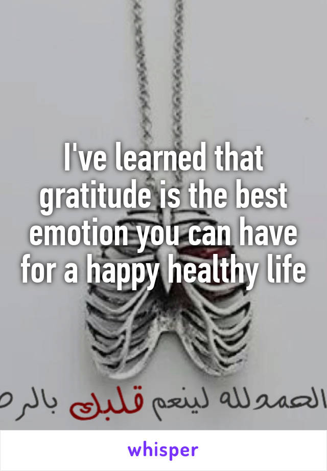 I've learned that gratitude is the best emotion you can have for a happy healthy life 