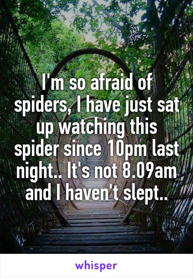 I'm so afraid of spiders, I have just sat up watching this spider since 10pm last night.. It's not 8.09am and I haven't slept..