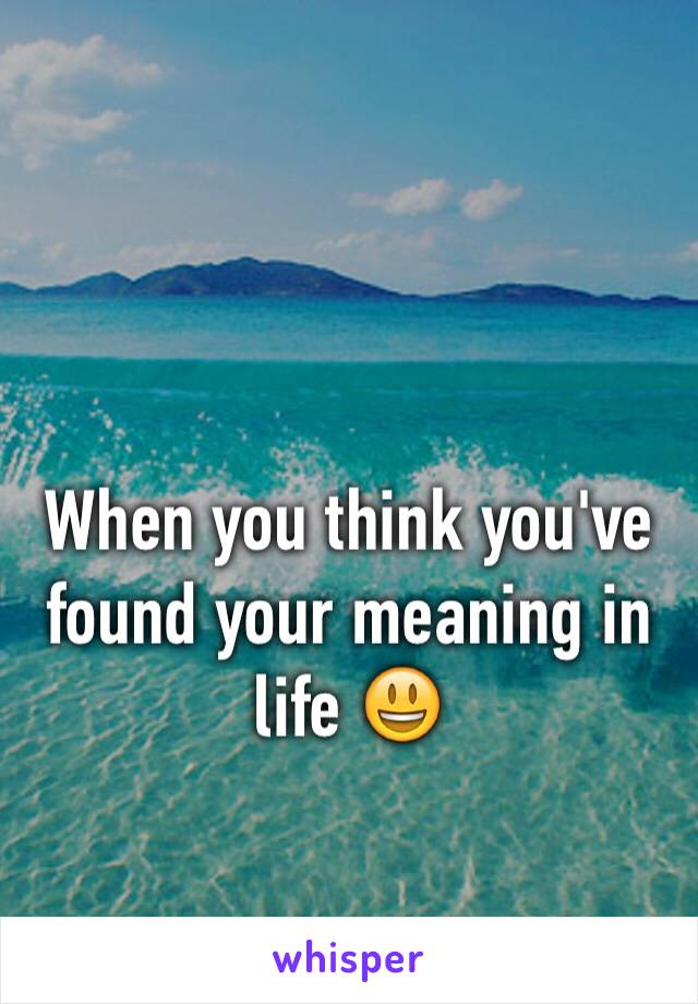 When you think you've found your meaning in life 😃