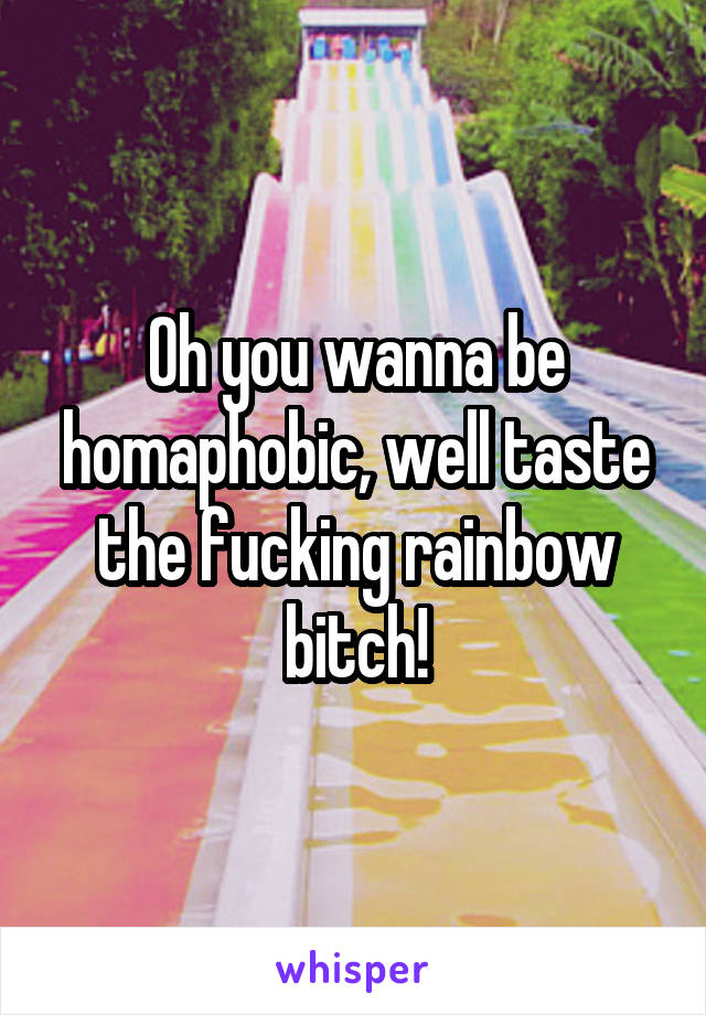 Oh you wanna be homaphobic, well taste the fucking rainbow bitch!