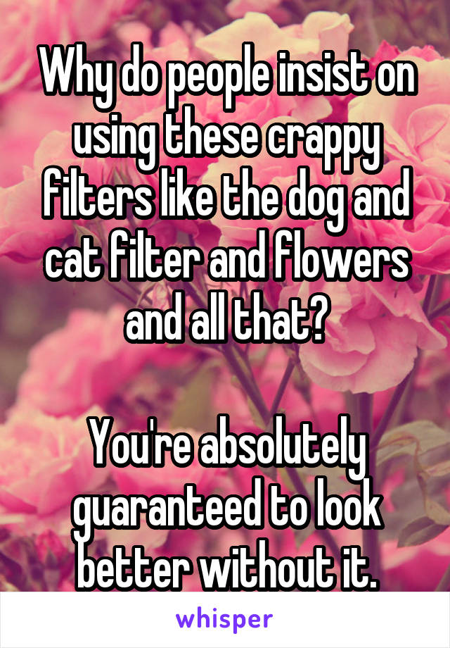 Why do people insist on using these crappy filters like the dog and cat filter and flowers and all that?

You're absolutely guaranteed to look better without it.