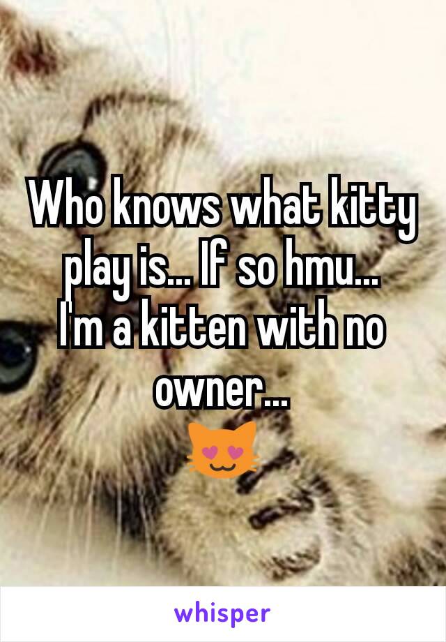 Who knows what kitty play is... If so hmu...
I'm a kitten with no owner...
😻