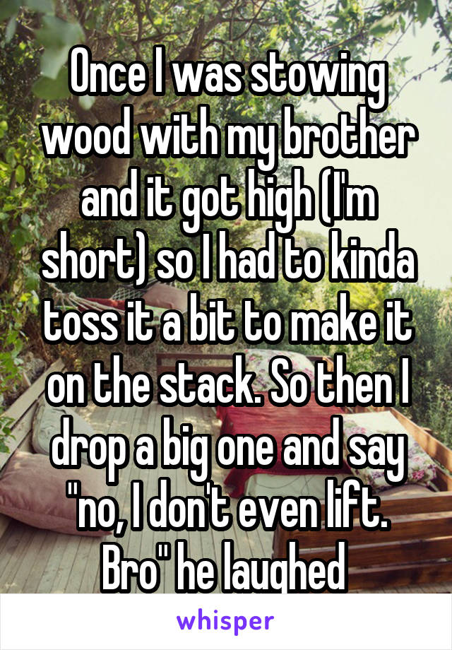 Once I was stowing wood with my brother and it got high (I'm short) so I had to kinda toss it a bit to make it on the stack. So then I drop a big one and say "no, I don't even lift. Bro" he laughed 