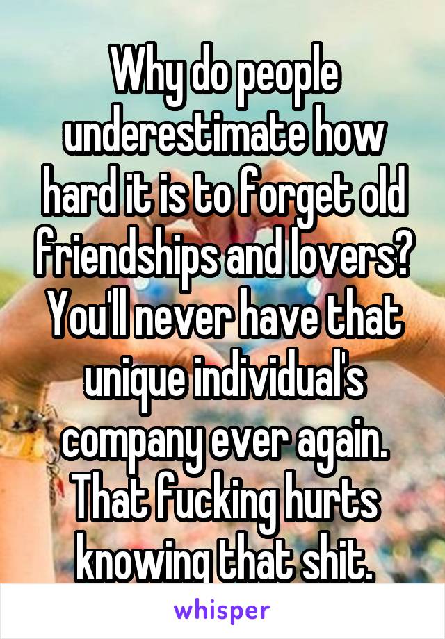 Why do people underestimate how hard it is to forget old friendships and lovers? You'll never have that unique individual's company ever again. That fucking hurts knowing that shit.