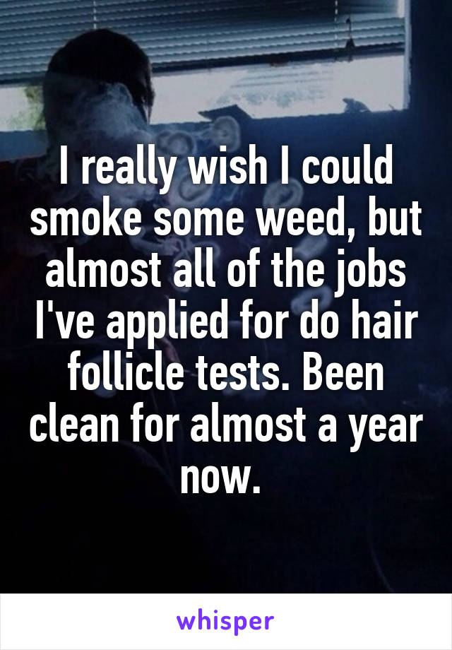 I really wish I could smoke some weed, but almost all of the jobs I've applied for do hair follicle tests. Been clean for almost a year now. 