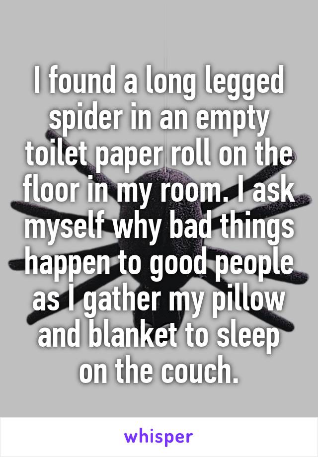 I found a long legged spider in an empty toilet paper roll on the floor in my room. I ask myself why bad things happen to good people as I gather my pillow and blanket to sleep on the couch.