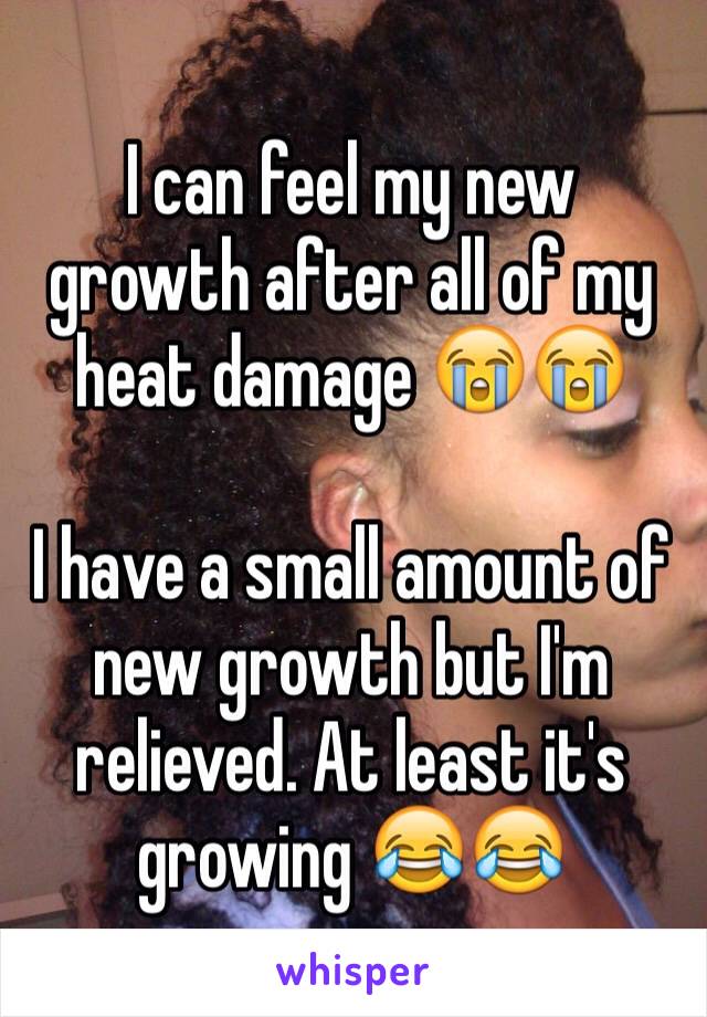 I can feel my new growth after all of my heat damage 😭😭 

I have a small amount of new growth but I'm relieved. At least it's growing 😂😂