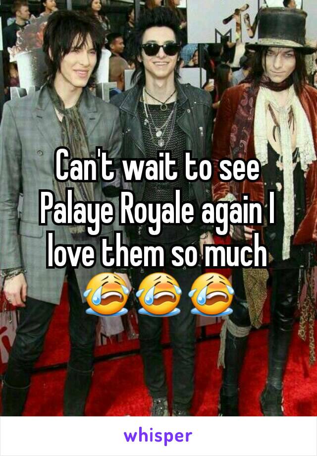 Can't wait to see Palaye Royale again I love them so much
😭😭😭