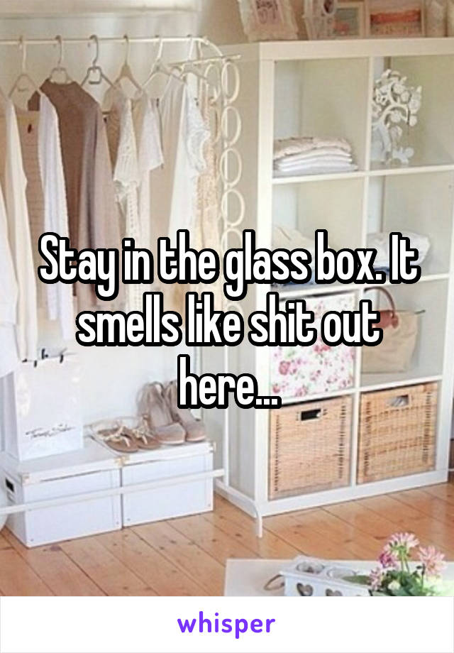 Stay in the glass box. It smells like shit out here...