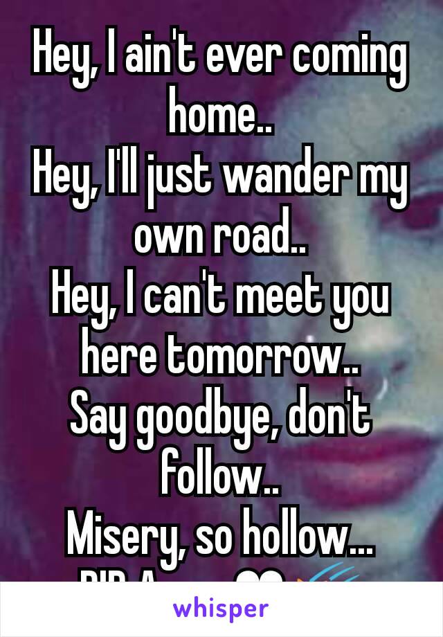 Hey, I ain't ever coming home..
Hey, I'll just wander my own road..
Hey, I can't meet you here tomorrow..
Say goodbye, don't follow..
Misery, so hollow...
RIP Amy...❤🌠