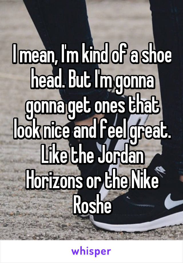 I mean, I'm kind of a shoe head. But I'm gonna gonna get ones that look nice and feel great. Like the Jordan Horizons or the Nike Roshe