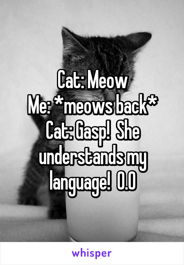 Cat: Meow
Me: *meows back*
Cat: Gasp!  She understands my language!  0.0