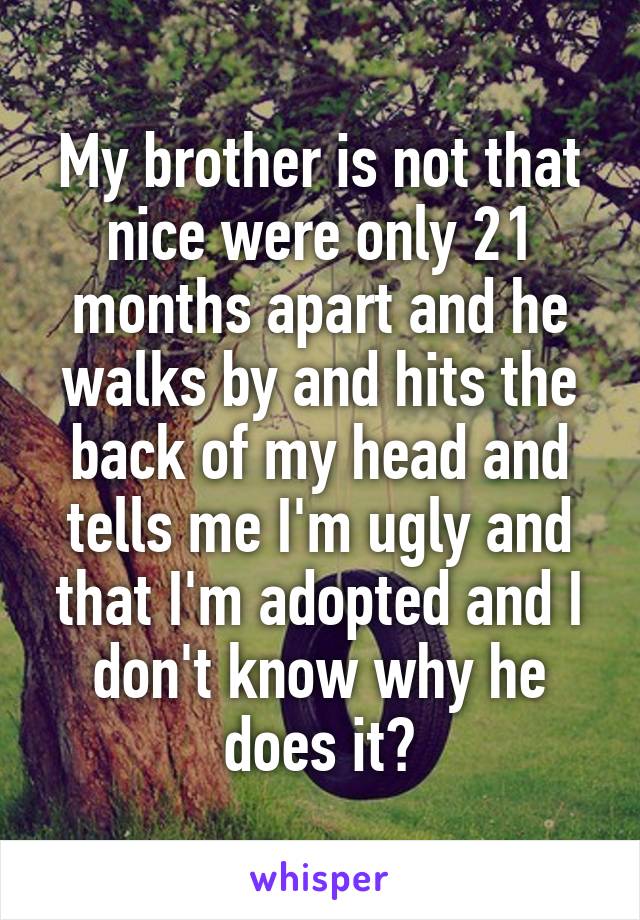 My brother is not that nice were only 21 months apart and he walks by and hits the back of my head and tells me I'm ugly and that I'm adopted and I don't know why he does it?