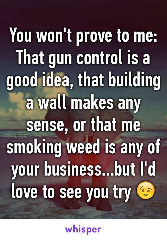 You won't prove to me:
That gun control is a good idea, that building a wall makes any sense, or that me smoking weed is any of your business...but I'd love to see you try 😉