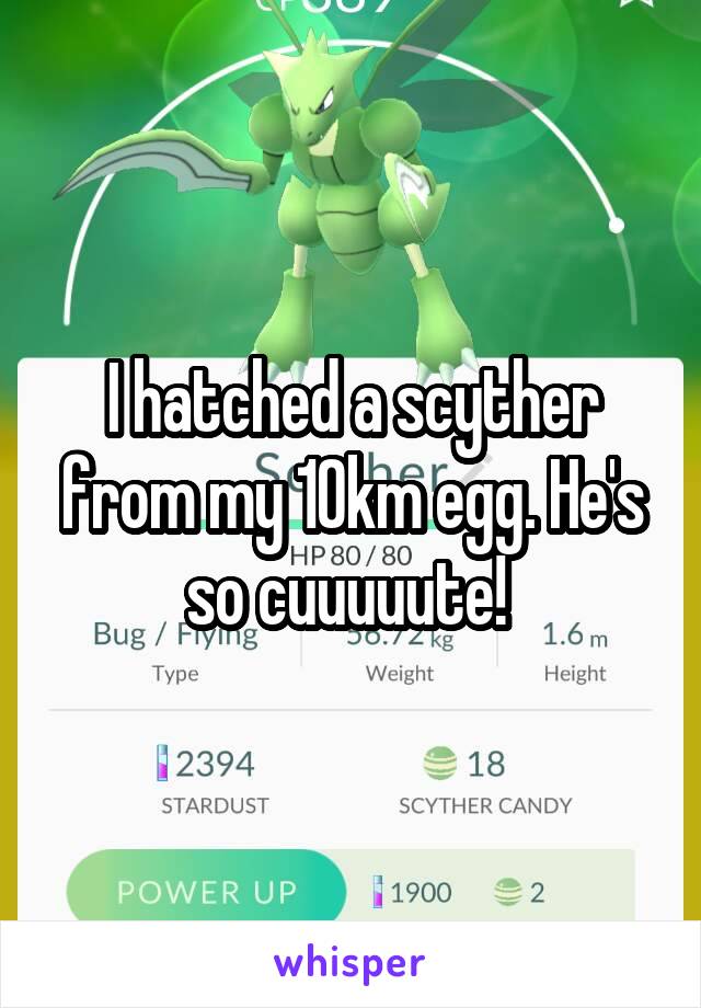 I hatched a scyther from my 10km egg. He's so cuuuuute! 