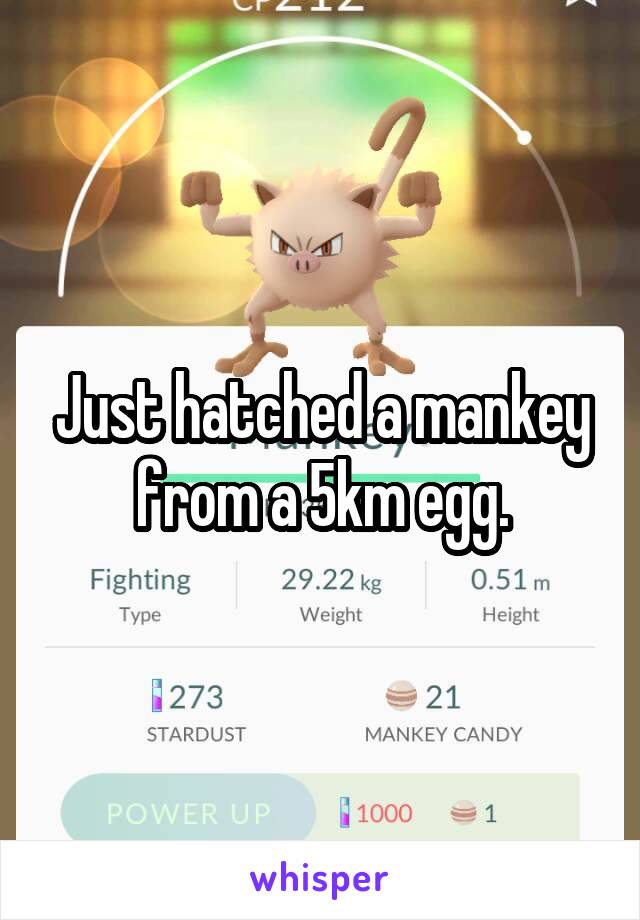 Just hatched a mankey from a 5km egg.