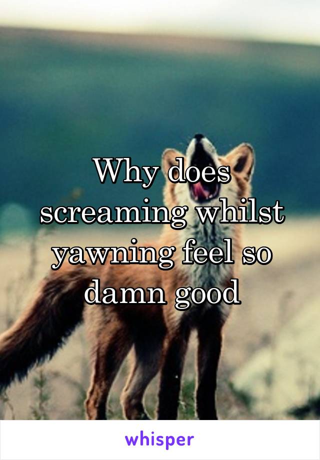 Why does screaming whilst yawning feel so damn good