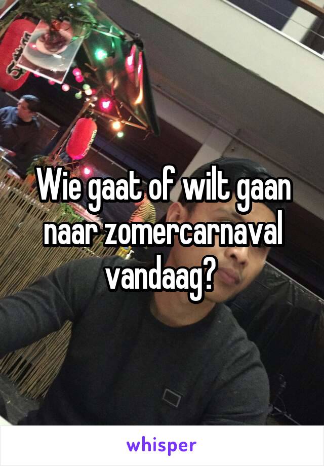 Wie gaat of wilt gaan naar zomercarnaval vandaag? 