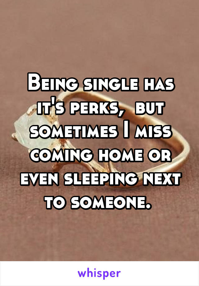 Being single has it's perks,  but sometimes I miss coming home or even sleeping next to someone. 