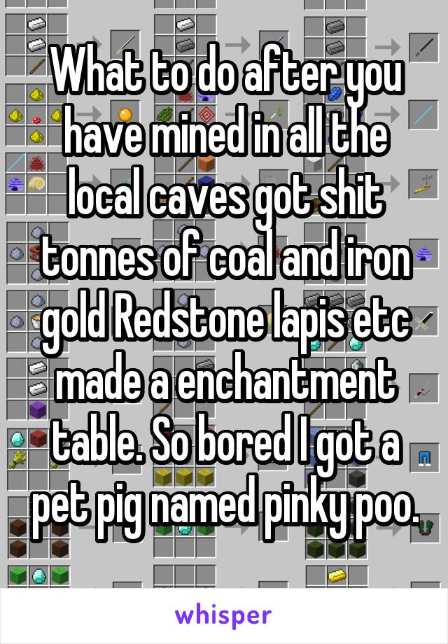 What to do after you have mined in all the local caves got shit tonnes of coal and iron gold Redstone lapis etc made a enchantment table. So bored I got a pet pig named pinky poo. 