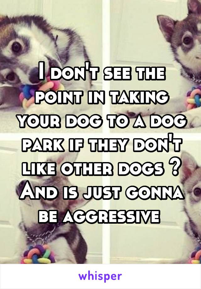 I don't see the point in taking your dog to a dog park if they don't like other dogs ? And is just gonna be aggressive 