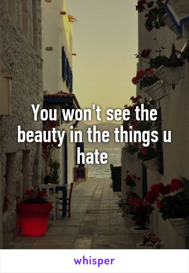 You won't see the beauty in the things u hate 