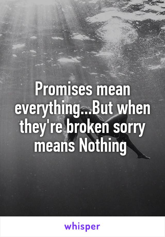 Promises mean everything...But when they're broken sorry means Nothing 